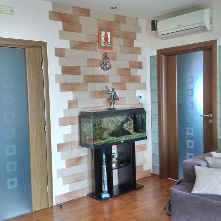 Apartments Europa Starigrad Paklenica Esterno foto