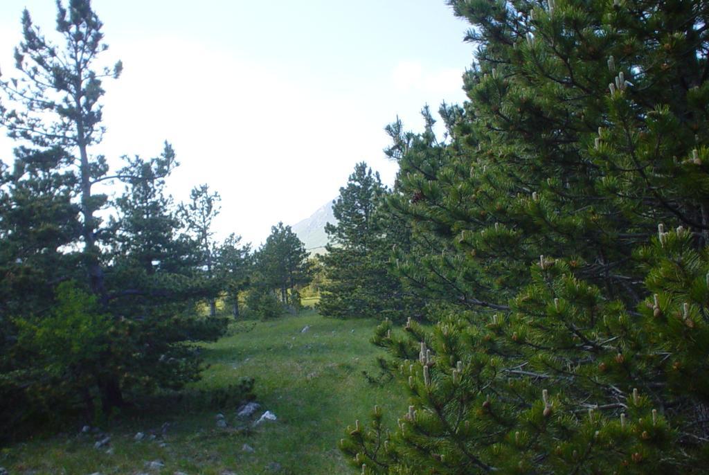 Apartments Europa Starigrad Paklenica Esterno foto