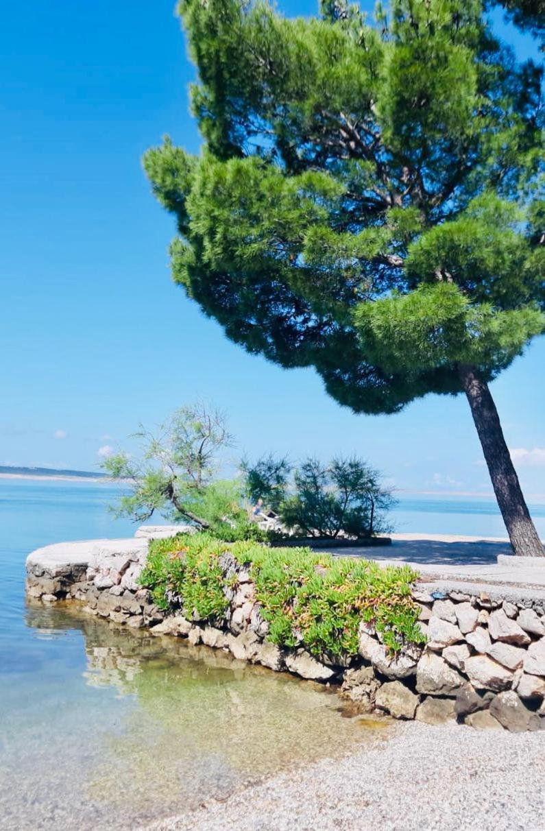 Apartments Europa Starigrad Paklenica Esterno foto
