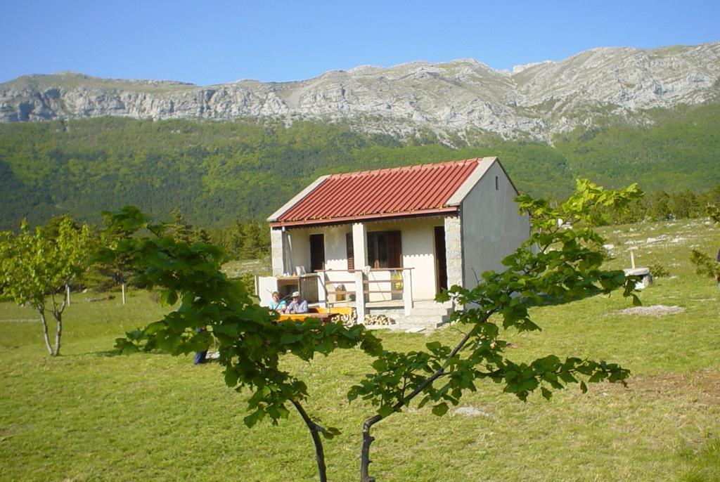 Apartments Europa Starigrad Paklenica Esterno foto